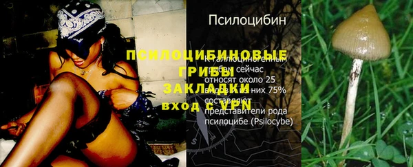 мефедрон мука Горнозаводск